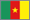 small Cameroon flag