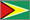 small Guyana flag