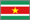 small Suriname flag