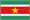 Suriname flag