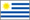 small Uruguay flag