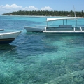 this is how they Welcome you at Sta. Fe Bantayan this is how they Welcome you at Sta. Fe Bantayan
