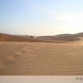 Red Sand Dunes