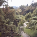 At the base camp of Mt. Kinabalu At the base camp of Mt. Kinabalu