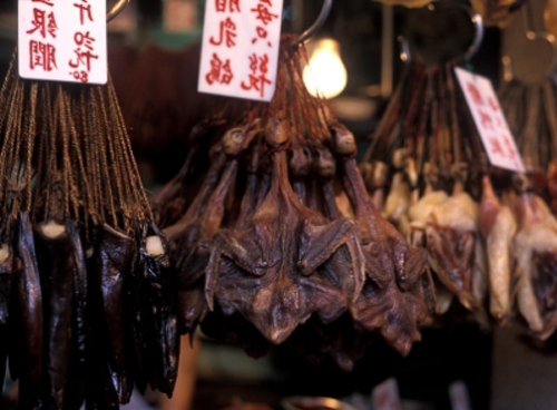 fried bats food in Asia