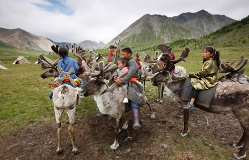 The vanishing Reindeer People