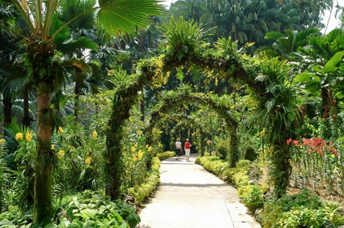 National Orchids Garden in Singapore