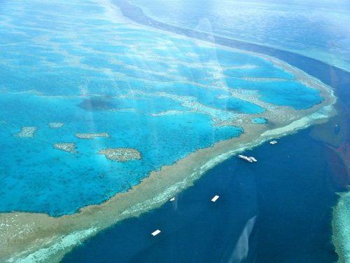 The only structure made of living organisms visible from space, the Great Barrier Reef may be gone in 40 years.