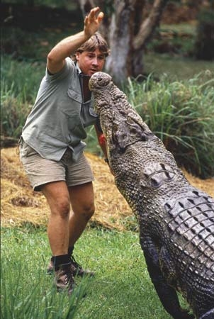 Steve Irwin