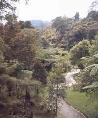 At the base camp of Mt. Kinabalu